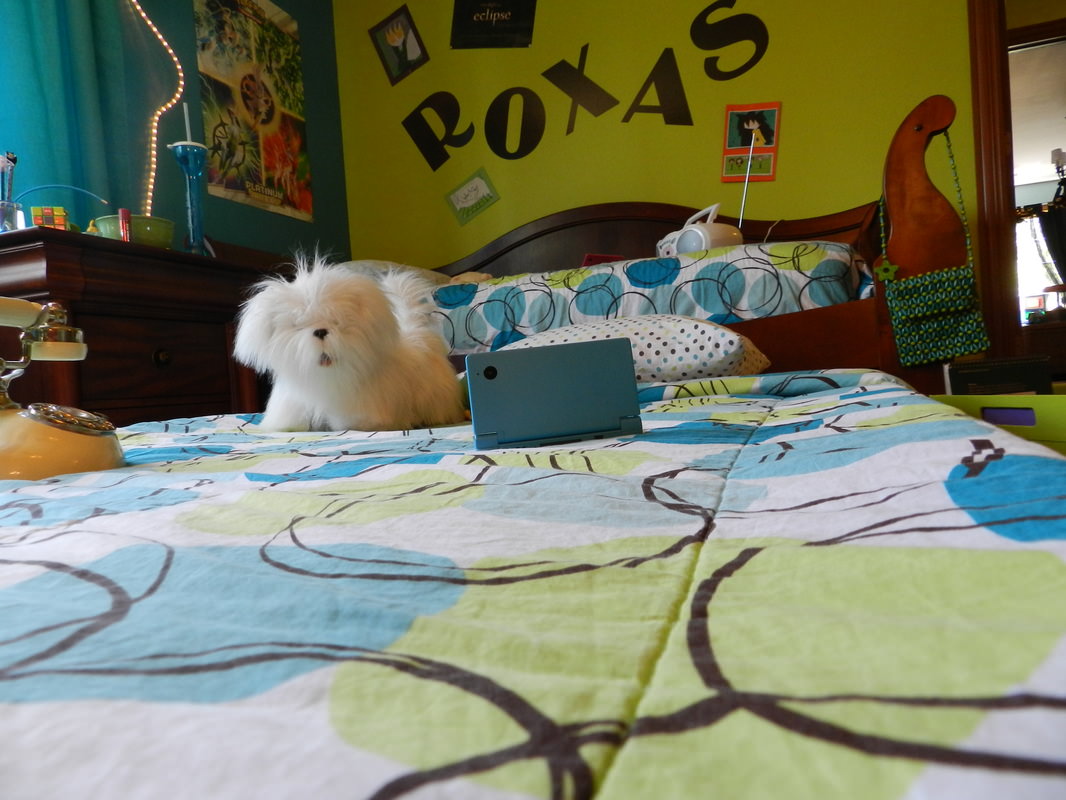 Picture